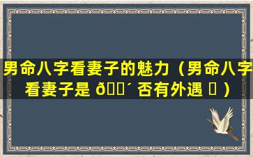 男命八字看妻子的魅力（男命八字看妻子是 🌴 否有外遇 ☘ ）